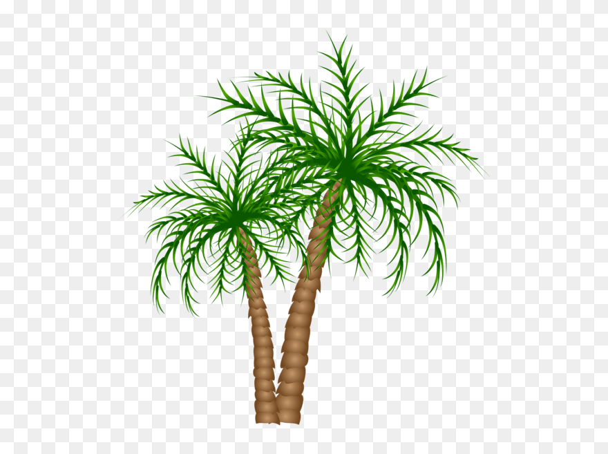 Palm Tree Clipart Transparent Background - Png Download