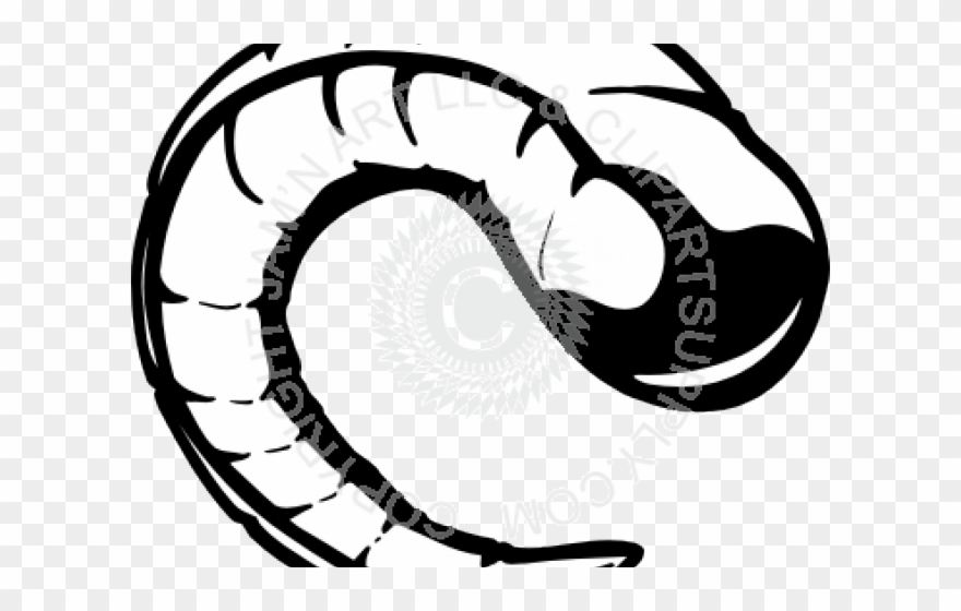 Svg Freeuse Cliparts Free Download Clip Art Carwad - Rams Horn Drawing - Png Download