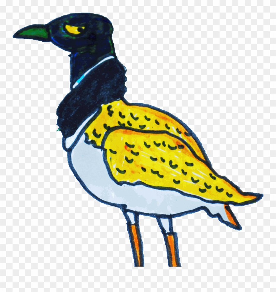 Y Doman Sus Plumas Al Viento Sin Tiempo Corre El Alcaraván - Phasianidae Clipart