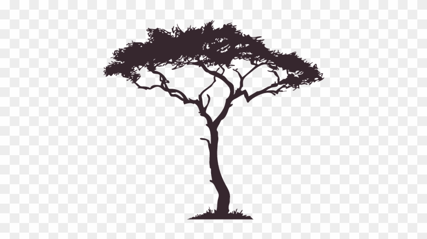 African Tree Decal Google Search Tattoo Pinterest - African Tree Silhouette Png Clipart