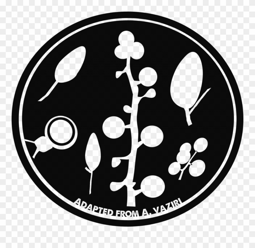 Phytophthora Cinnamomi Was Introduced To South Africa - Circle Clipart