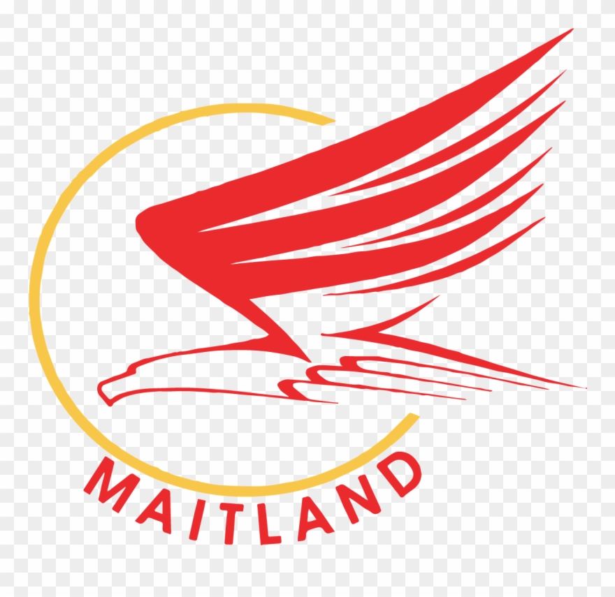 Orange County Public Schoolsmaitlandmiddle School - Hawk Clipart