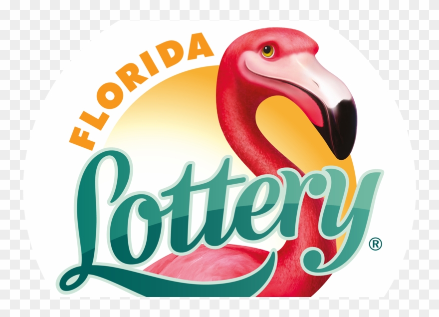 Florida Lottery Winning Numbers Clipart