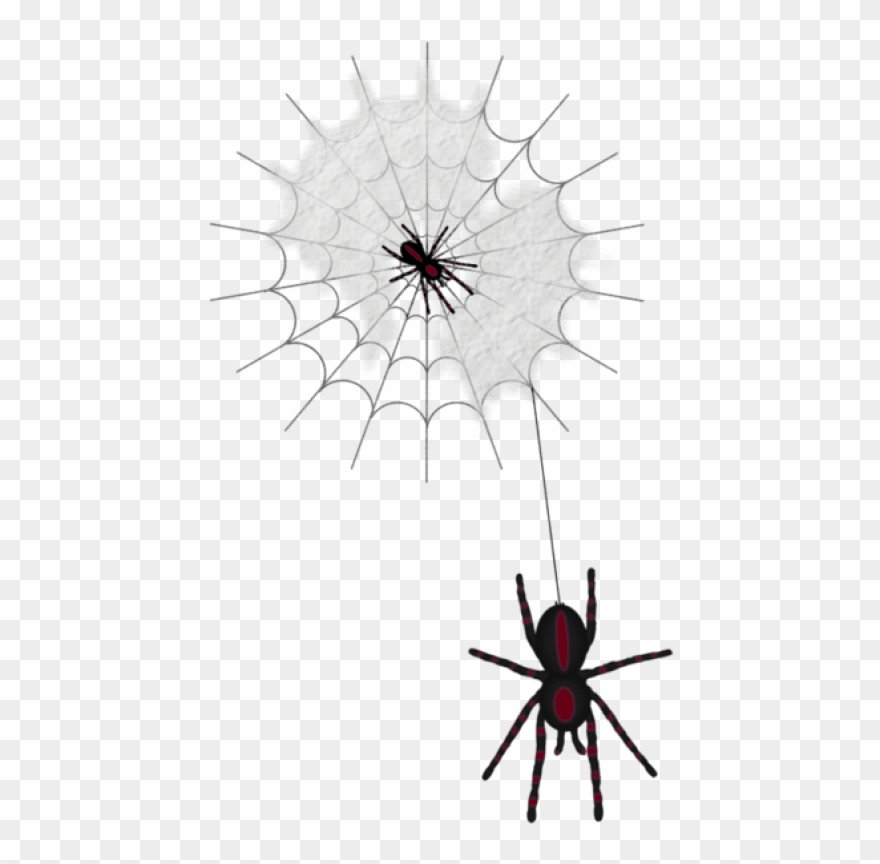 Free Png Halloween Web With Spiders Png Images Transparent - Spider Web Clipart