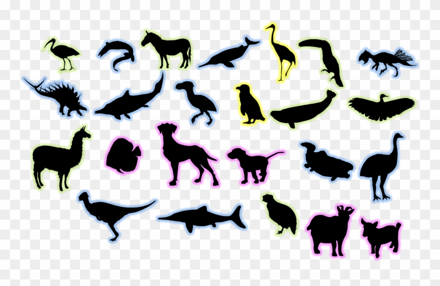 Boer Goat Silhouette Clipart - Goat - Png Download