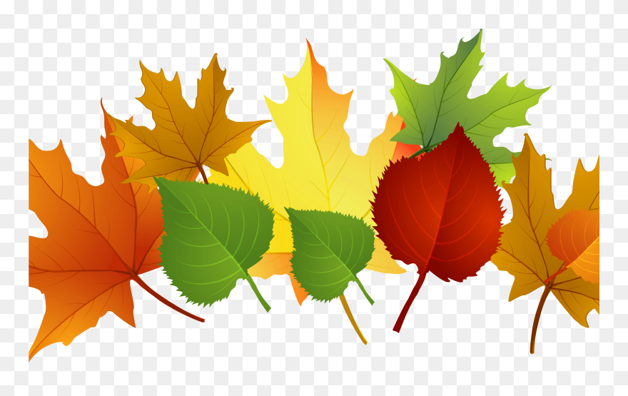 Falling Clipart Autumn Leaf - Autumn Leaves Clip Art - Png Download