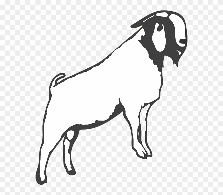 New Barn Farm - Boer Goat Black And White Clipart