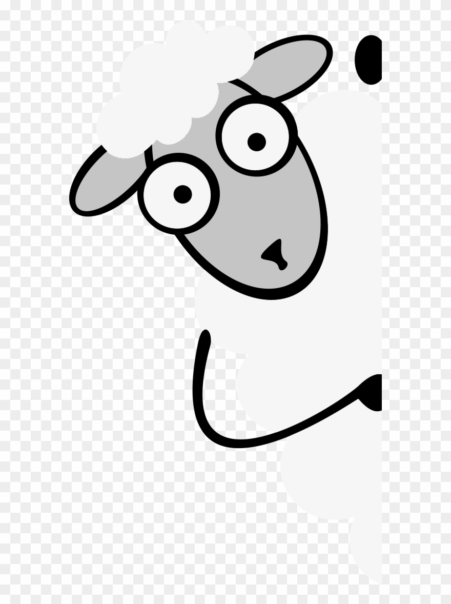 What - Sheep Clipart