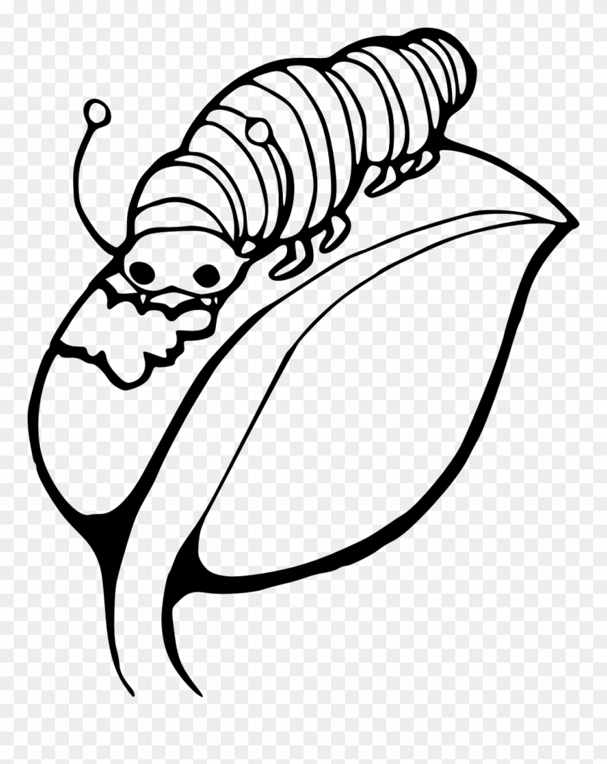 Png Black Wite Moth Caterpillar Image Black And White - Caterpillar On A Leaf Clipart Transparent Png