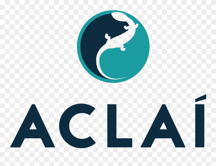 7 Requirements To Be A Top Gaa Player Cork's Top Personal - Gym Clipart