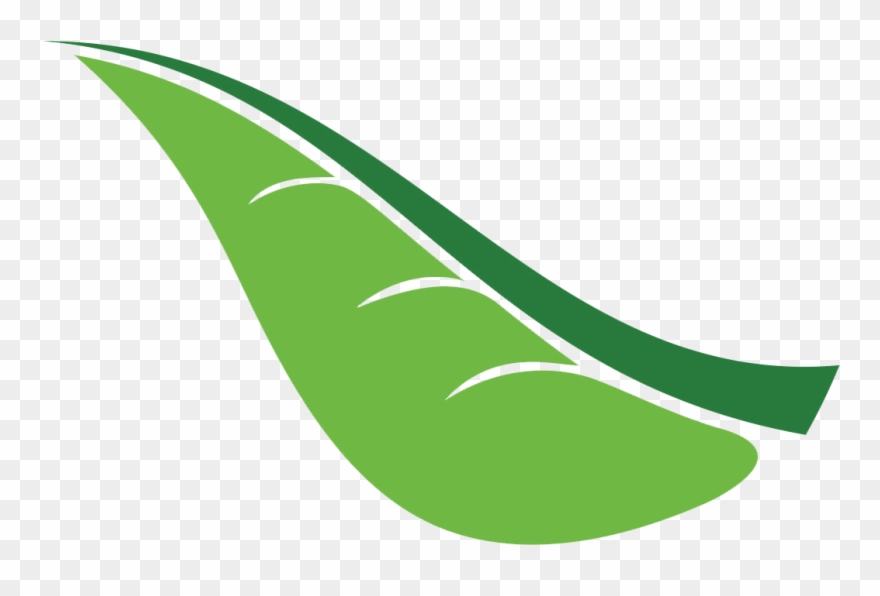 Camping Clipart Outbound Training - Pesona Highland - Png Download