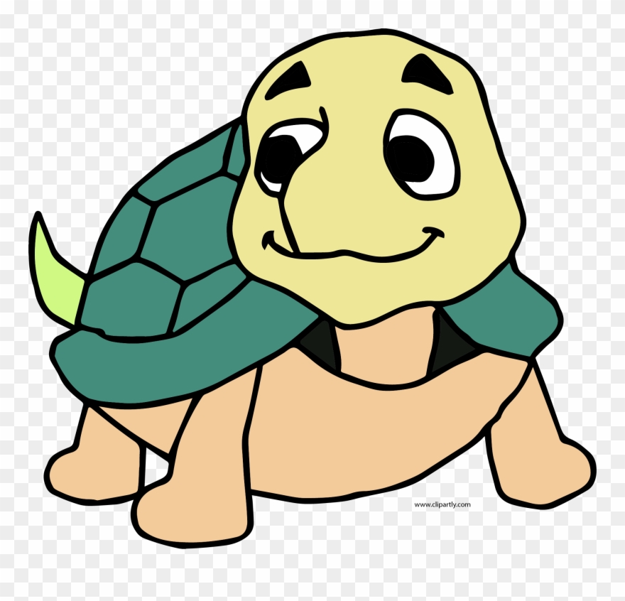 Cute Turtle Clipart Png - Portable Network Graphics Transparent Png