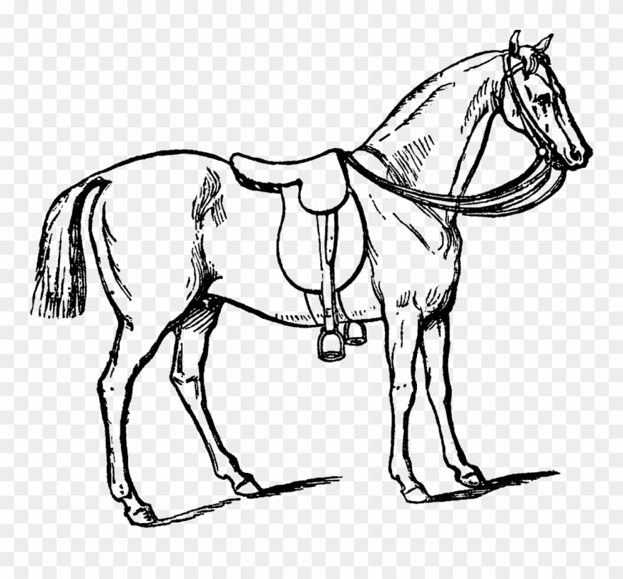 Carolyn Iott On Twitter - Horse With Gear Drawing Clipart