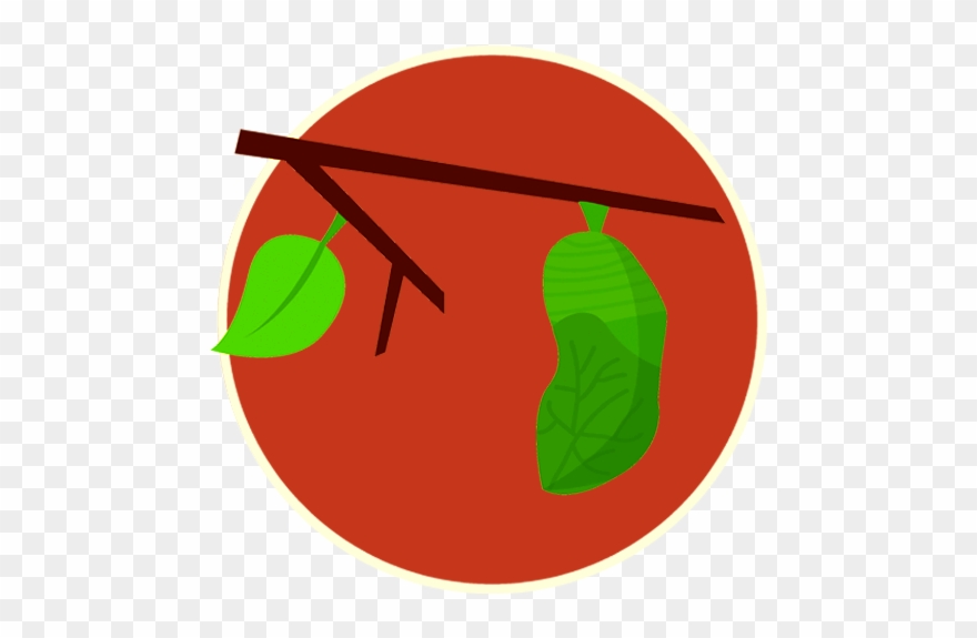 Sept 24th 4pm, 6pm 8pm @ Cannery Brewing Tickets $25 - Illustration Clipart