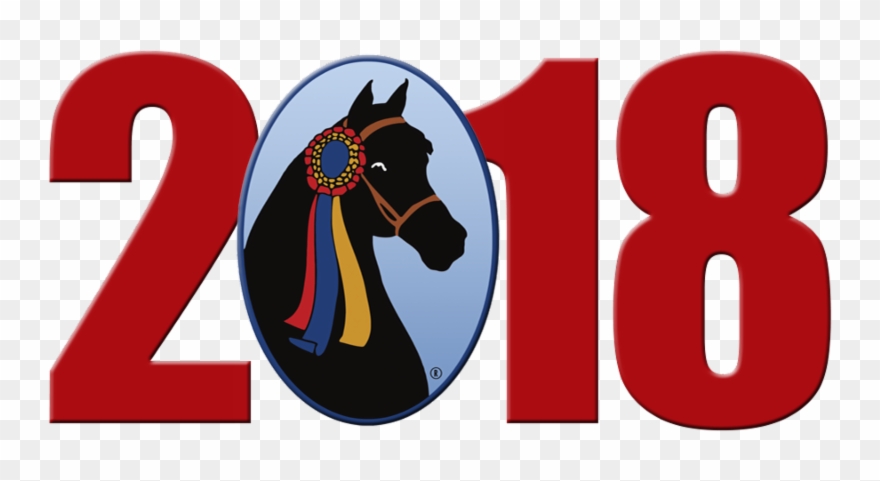 News On Qualifying - Stallion Clipart