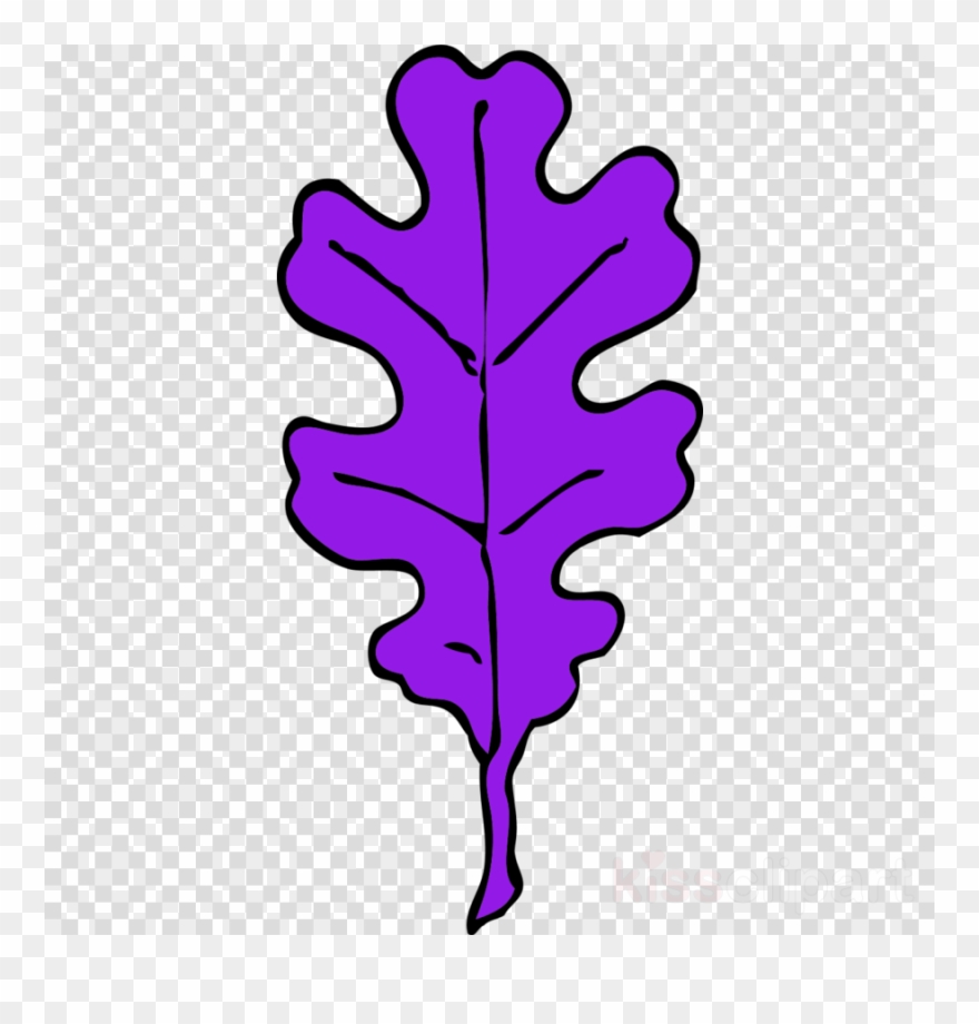 Oak Leaf Clip Art Clipart Clip Art - Oak Leaf - Png Download