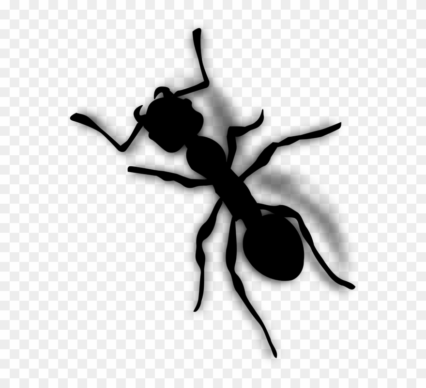 Ant Clip Art Clipart Ant Clip Art - Ant Clip Art - Png Download