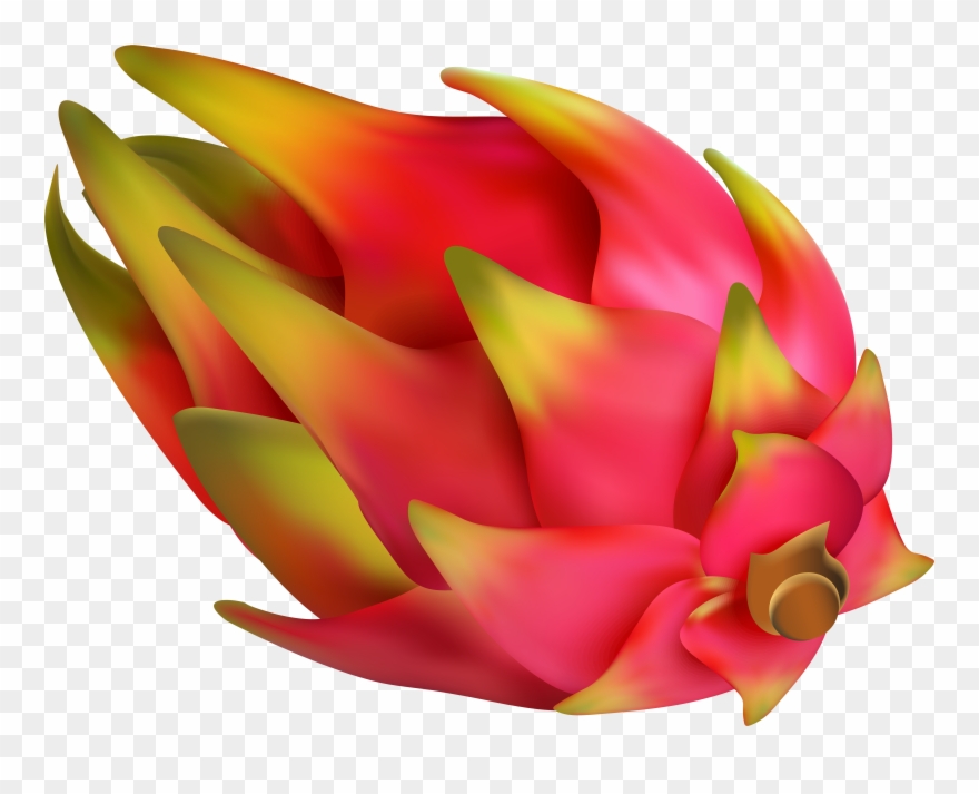 View Full Size - Pitaya Png Clipart