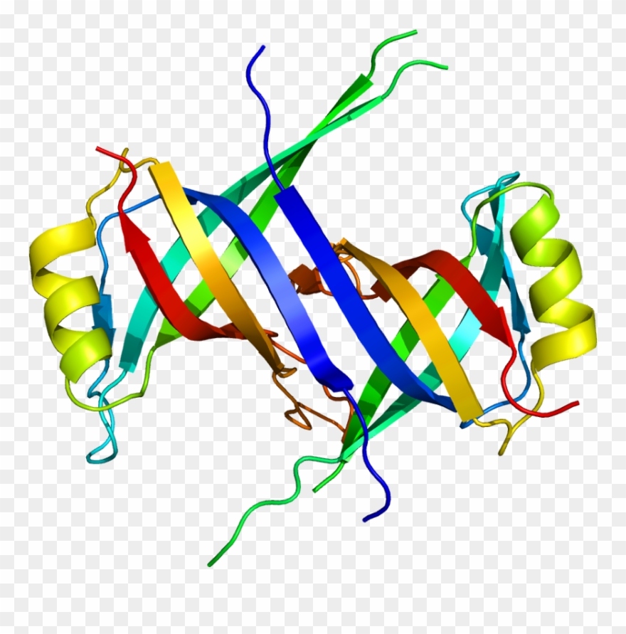 Protein Data Bank Clipart