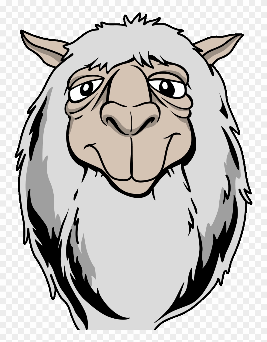 Created A Series Of Custom Gifs For The Band Fall Out Clipart