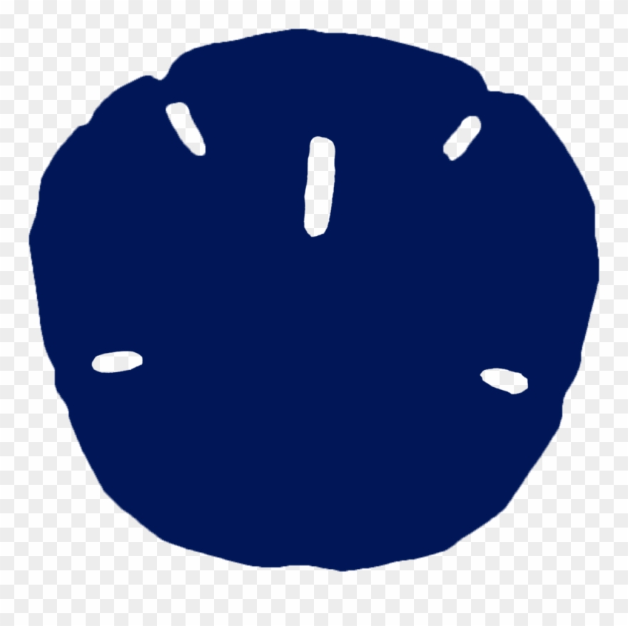 Sand Dollar Clipart