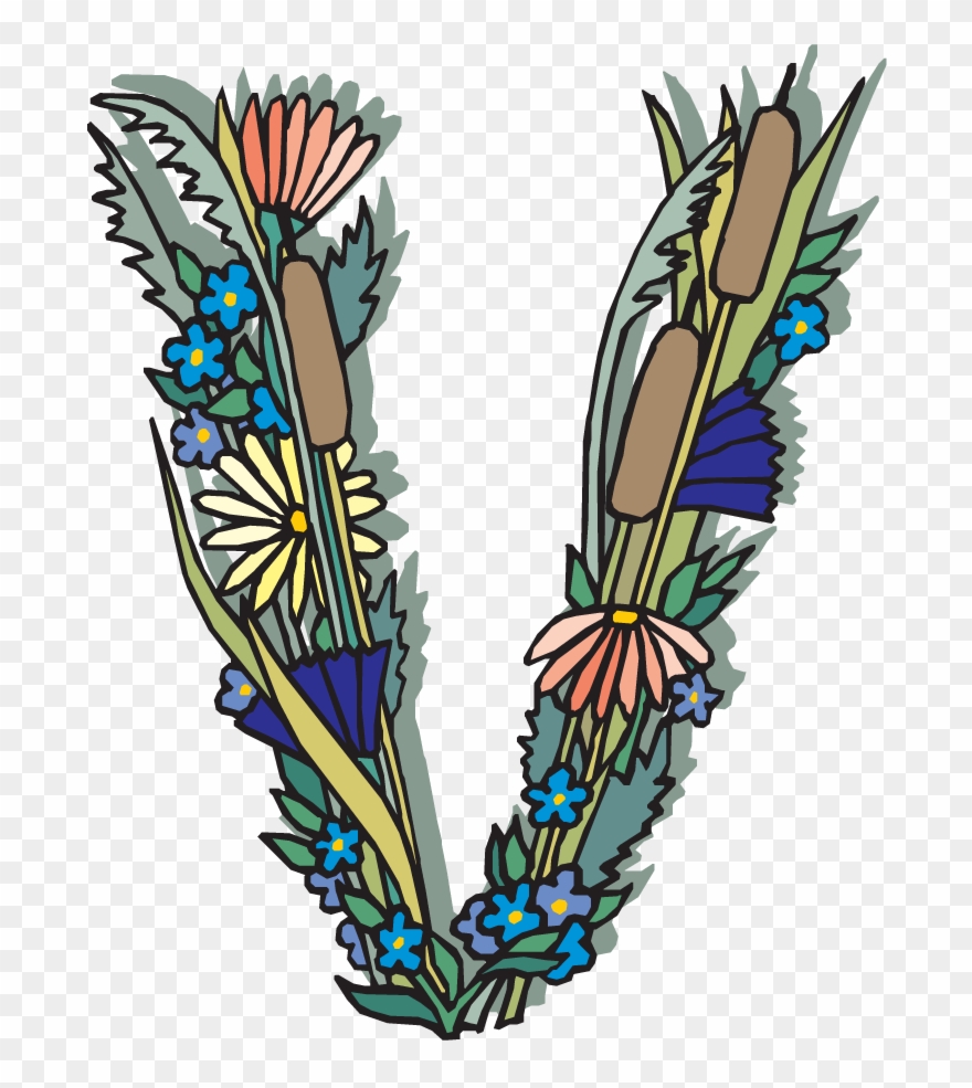 Alfabeto Floweryv - V Clipart