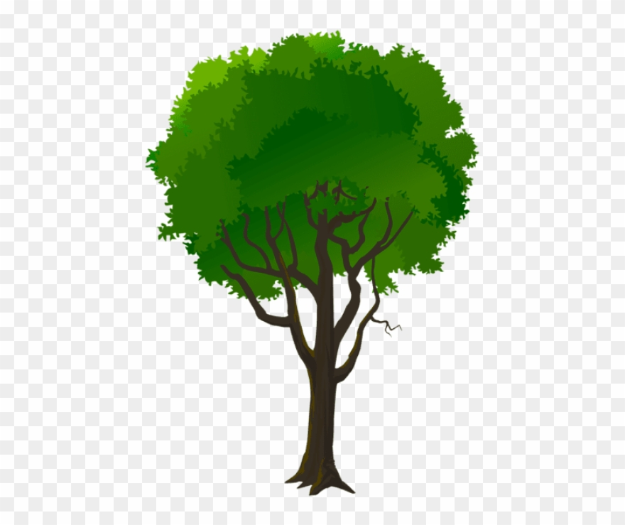Free Png Tree Decorative Transparent Png Images Transparent - Portable Network Graphics Clipart