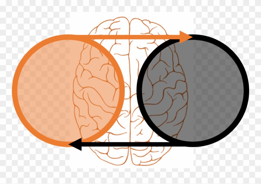 Maria Popova Wrote A Delightful Blog Post On The Topic - Creativity Clipart