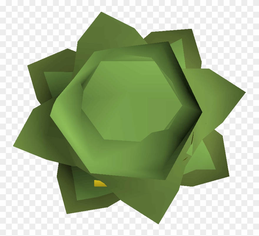 2007scape Cabbage Png Clip Download - Old Cabbage Runescape Transparent Png