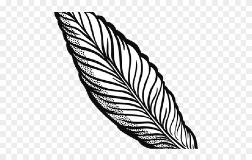 Quill Clipart Transparent Background - Transparent Feather Clipart - Png Download