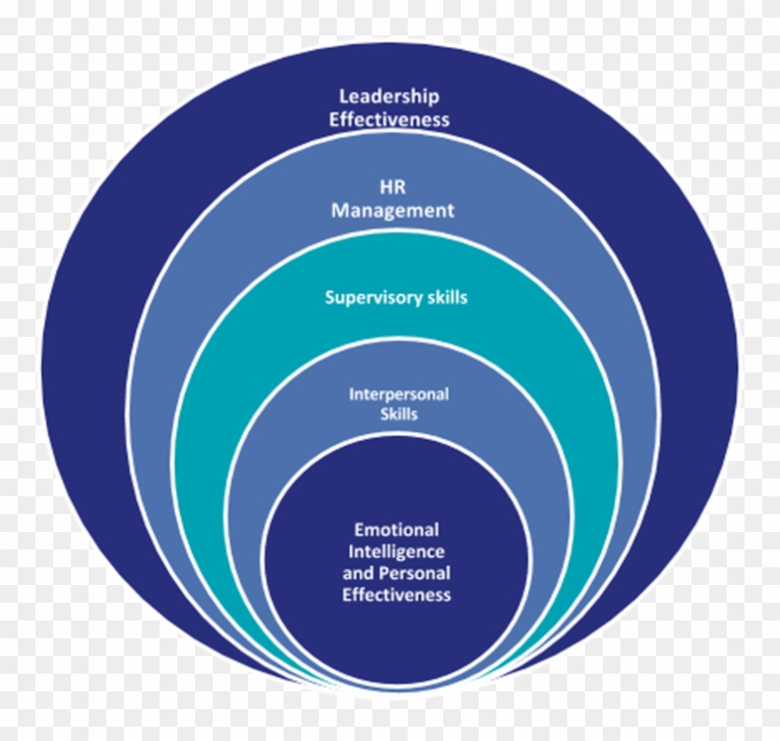 The Content Of Our Leadership Development Programs, - Common Ground Canopy Tours Clipart