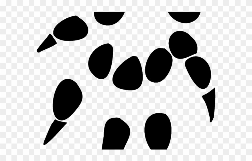 Hedgehog Clipart Tracks - Sugar Glider Paw Print - Png Download