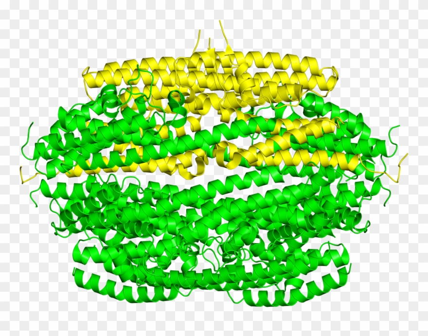 Protein Data Bank On Twitter - Illustration Clipart