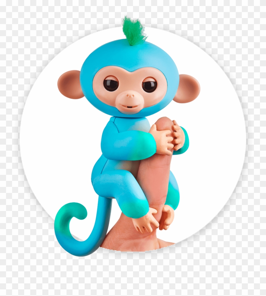 Fingerlings Monkey 2tone Ombre Charlie - Fingerling Charlie Clipart