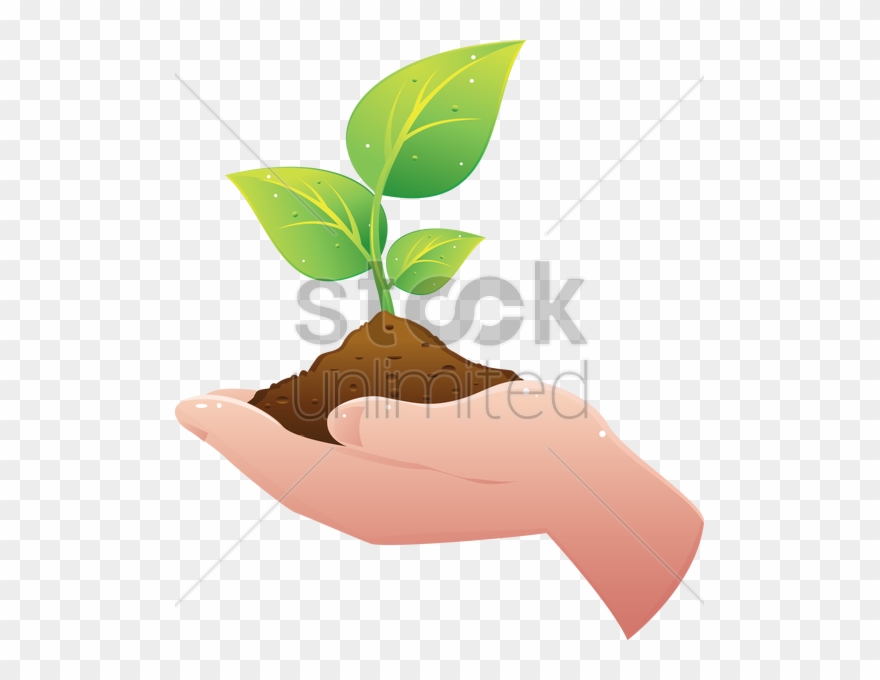 Hand Art Holding Hands Transprent Png Free - Hand Clipart Hand Holding Plant Transparent Png