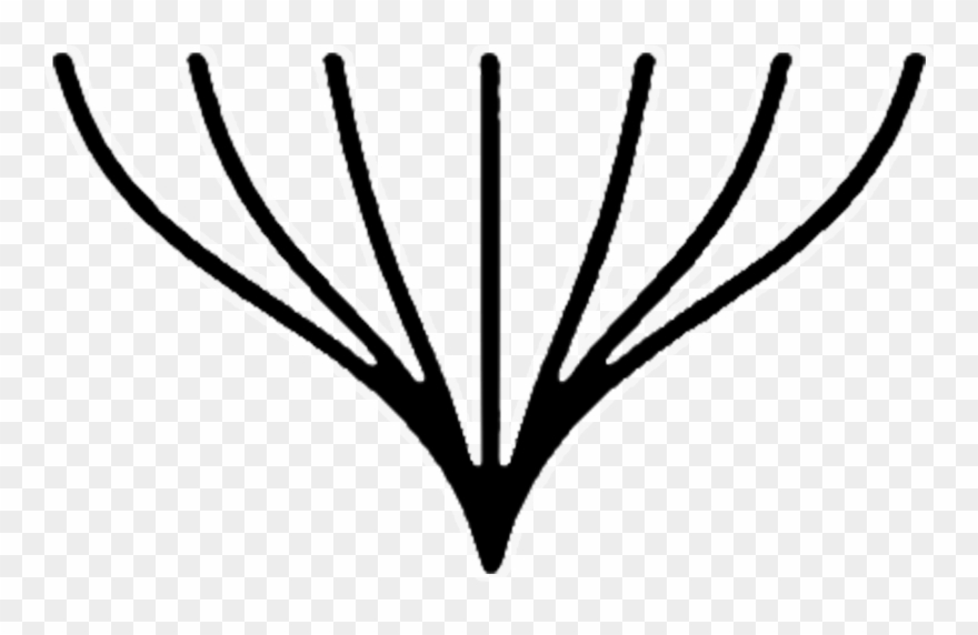 1€ En Refrescos 2€ En Combinados - Leaf Clipart