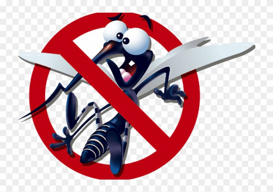Tipos De Mosquiteras, Cuál Elegir - Tips To Prevent Dengue Clipart