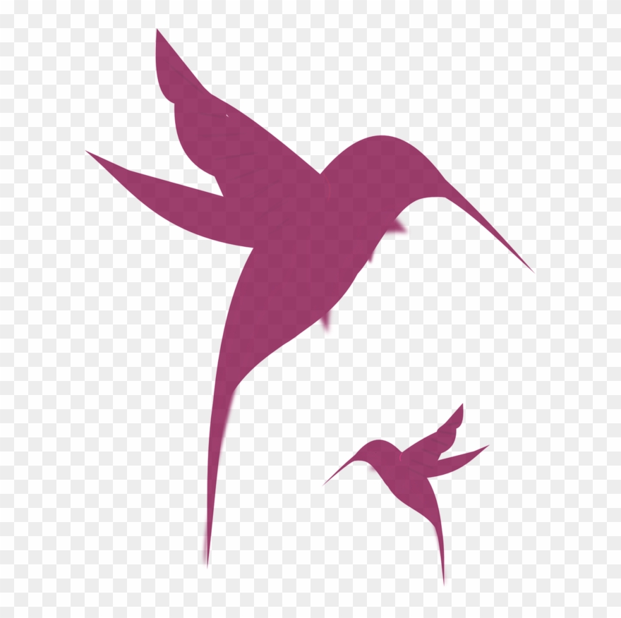 Colibri Clipart