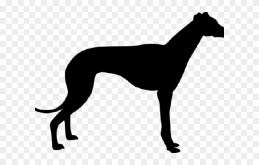 Greyhound Clipart - Greyhound Silhouette - Png Download