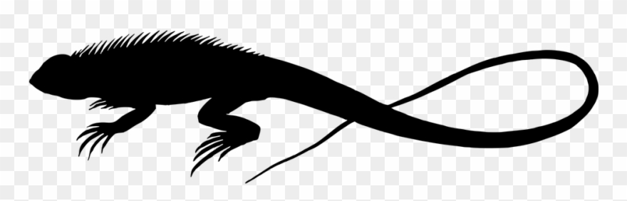 Lizard Vector Clipart