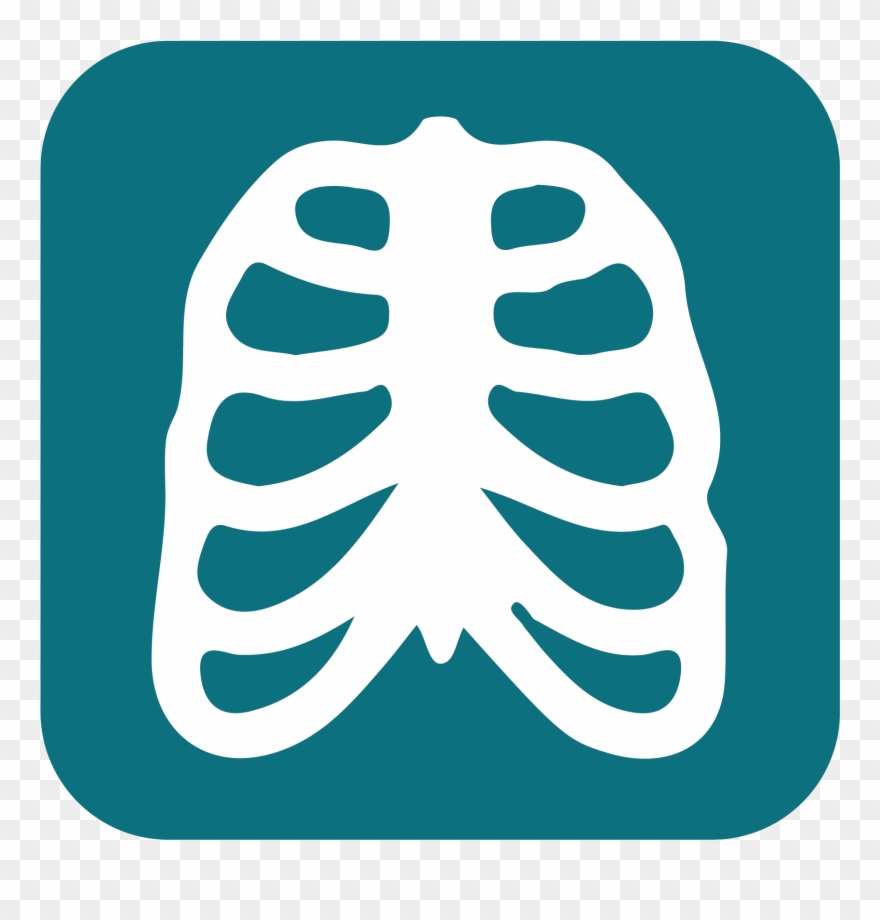 Science / Anatomy & Physiology - Anatomy Clipart