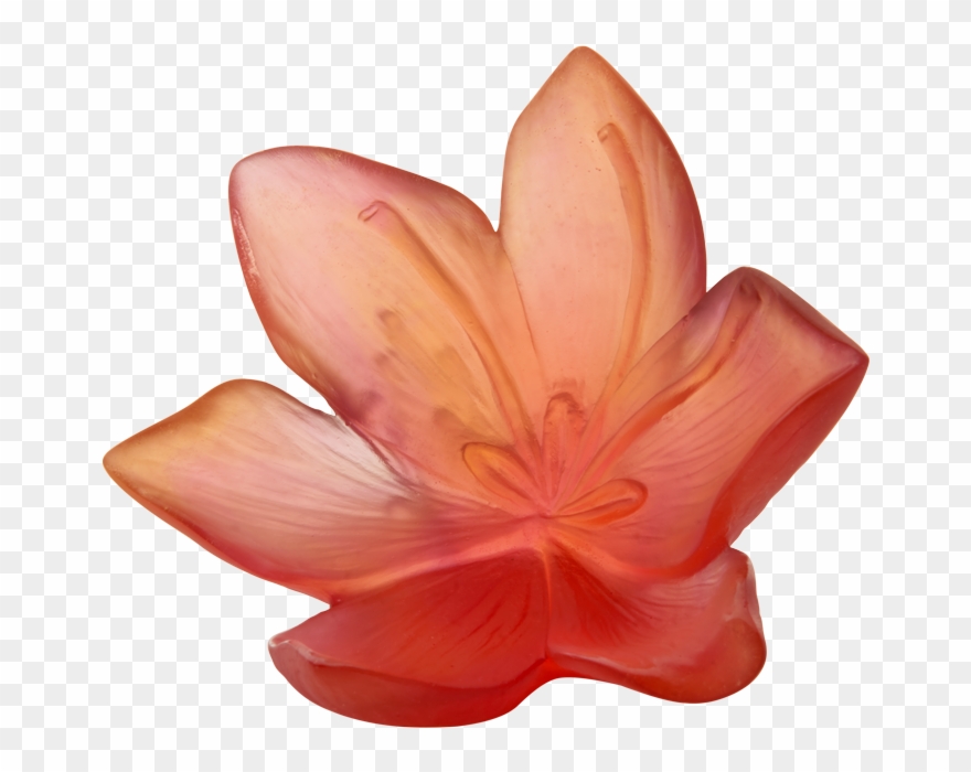 Fleur Decorative Gm Safran 05603 Clipart