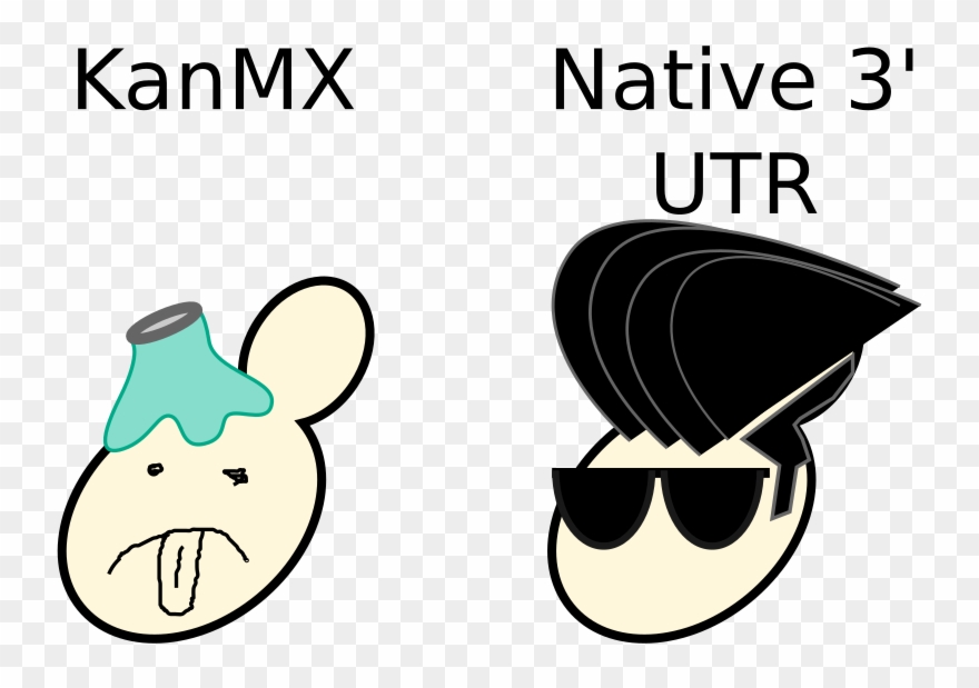 This Manor Of Strain Construction Solved The Reduced Clipart