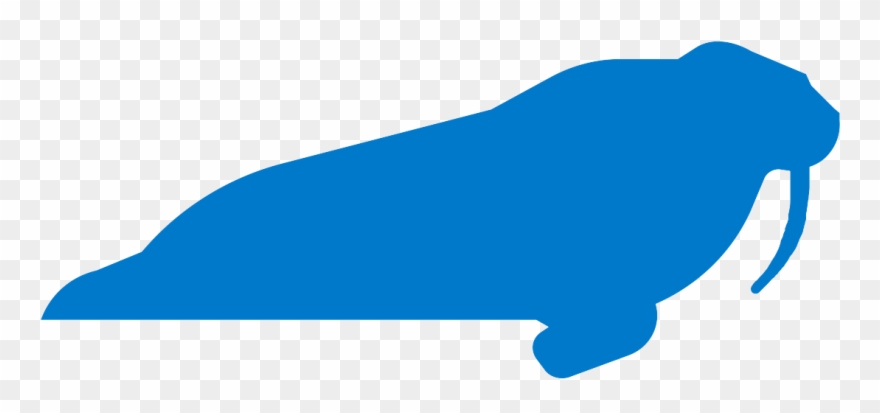 Marine Mammals Response Manual - Whale Clipart