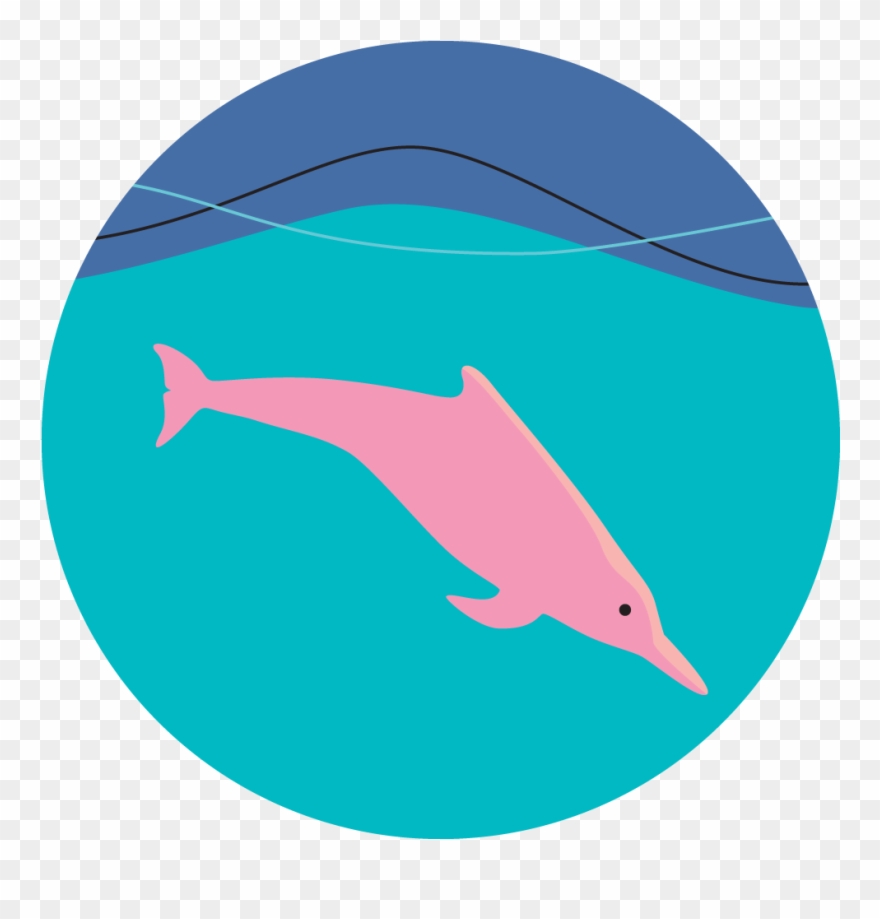 Hydrophones Can Save Hong Kong's Dolphins - Illustration Clipart