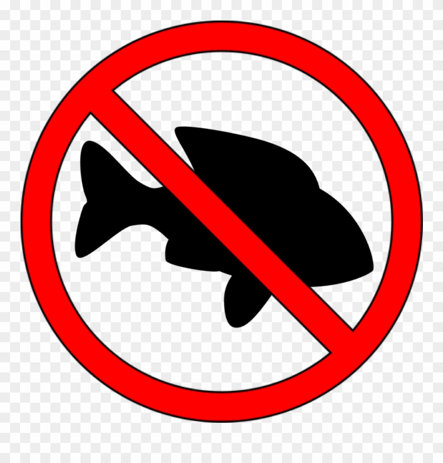 10 Marine Species That Need Protecting - Chinese Food Clip Art - Png Download