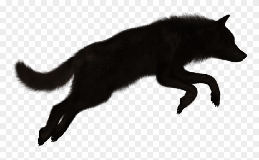 Image Black By Midni - Lobo Sombra Clipart