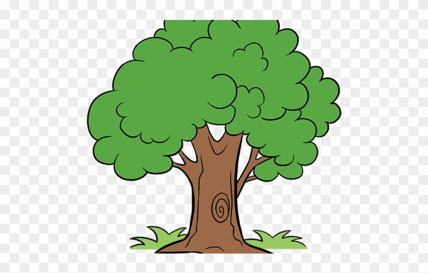 Random Cliparts - Cartoon Tree Drawing Png Transparent Png