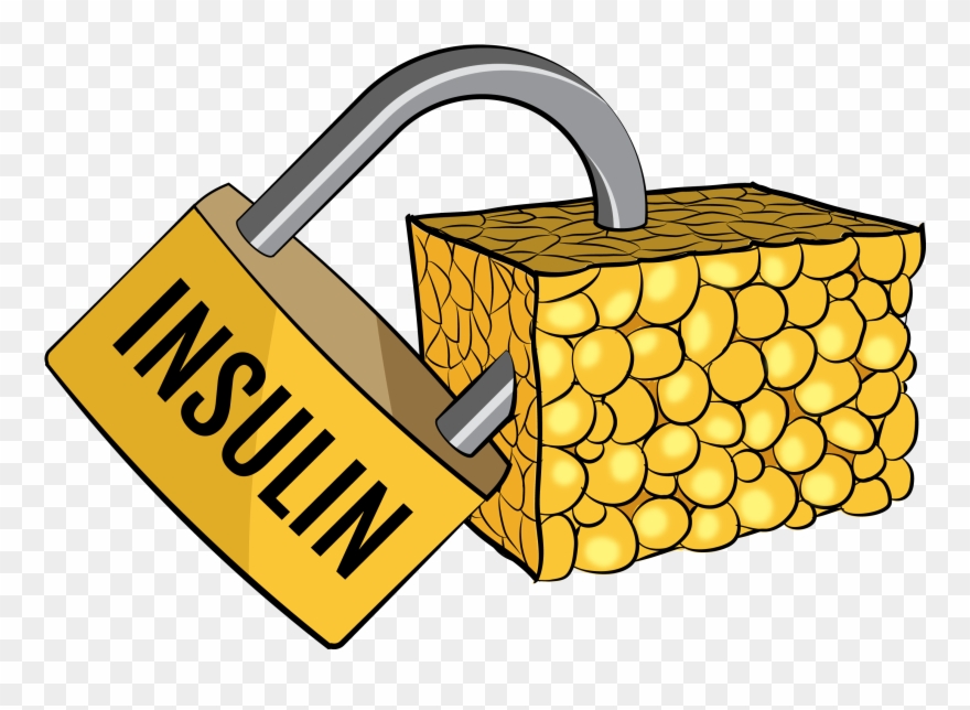 So, If We Are Consuming 2-50 Grams Of Carbs Per Day Clipart