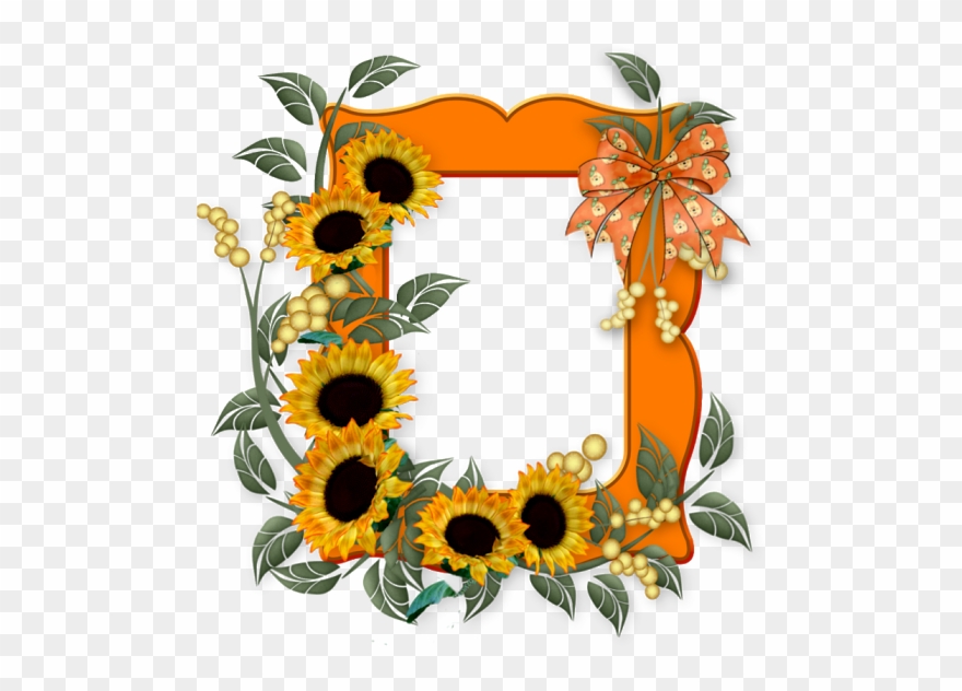 Discover - Clip Art - Png Download